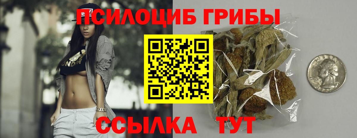 Тосно  Галлюциногенные грибы прущие грибы  как найти   Вход с VPN 