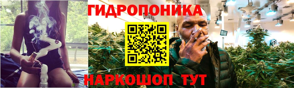 Марихуана Bruce Banner Тосно